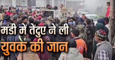 Balh Mandi Leopard Attack