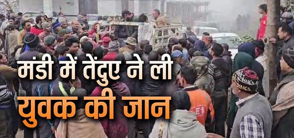 Balh Mandi Leopard Attack