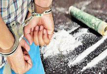 चिंताजनक !! चिट्टा तस्करी में शामिल हिमाचल के 60 कर्मचारी