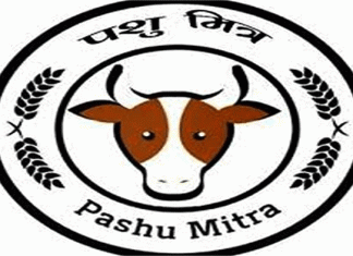 हिमाचल प्रदेश में पशु मित्र भर्ती पर लगी अस्थायी रोक