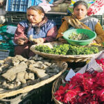 हिमालय की ‘जैविक घड़ी’ में भारी फेरबदल, वनस्पति विज्ञान विभाग ने बताया चिंताजनक 2md13-32-copy