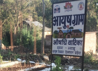 31 मार्च को ग्राम पंचायत भराड़ू में लगेगा बहु विशेषज्ञ कैम्प