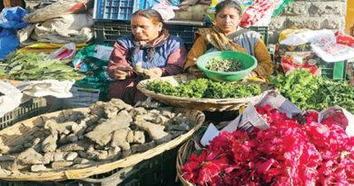 Himalayan Biological Clock Climate Change
