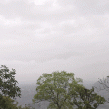 rain-2