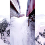 fresh-snowfall