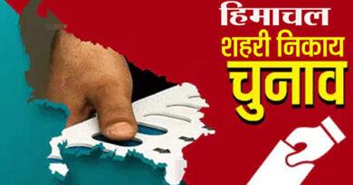 Himachal Municipal Polls Voters Candidates