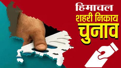 Himachal Municipal Polls Voters Candidates