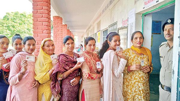 Mandi Panchayat Election 198 Pradhans