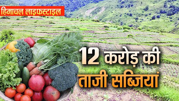 Himachal Farmers Fresh Vegetables Supply Other States