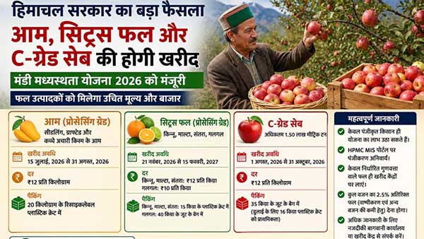 हिमाचल में C-ग्रेड सेब, आम और सिट्रस फलों की सरकारी खरीद को मंजूरी