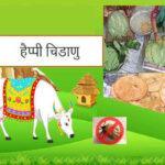 chidanu-festival-himachal