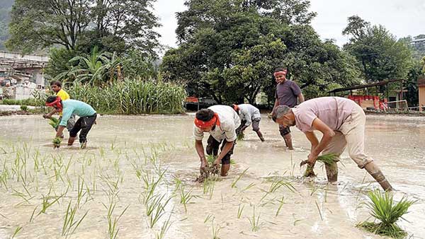 मंडी जिला में भारी बारिश के चलते 11 बिजली ट्रांसफार्मर और जनजीवन प्रभावित