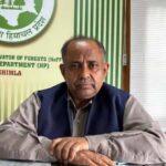 himachal-forest-plantation-monsoon