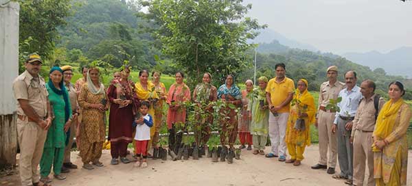 लांगणा वन बीट में हुआ 150 फलदार एवं औषधीय पौधों का रोपण