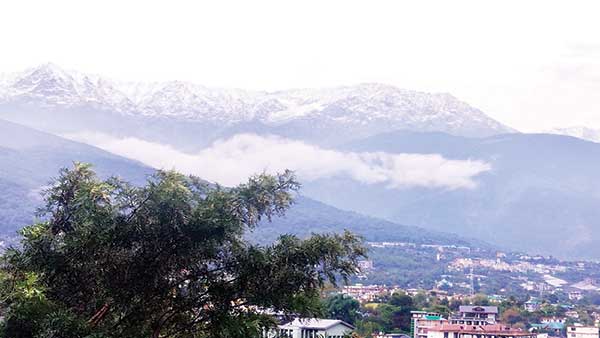 धौलाधार की ऊंची चोटियों में हुई ताज़ा बर्फ़बारी
